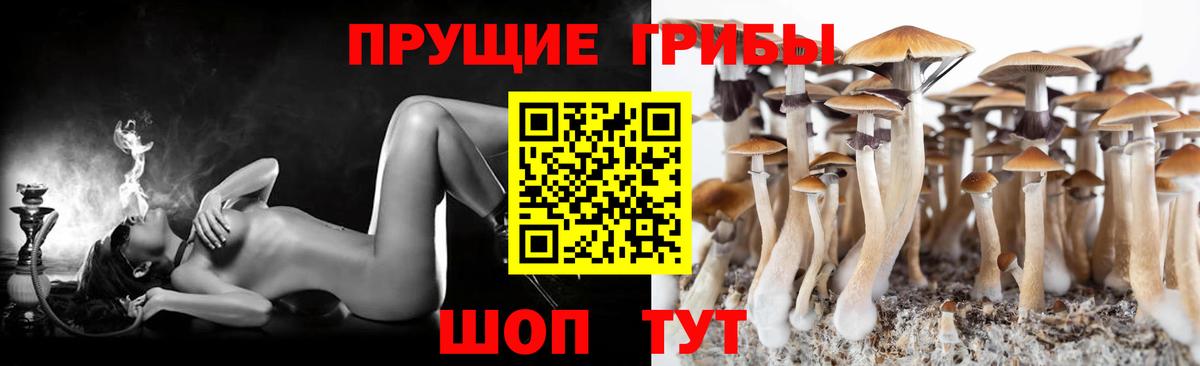 Галлюциногенные грибы ЛСД Кушва